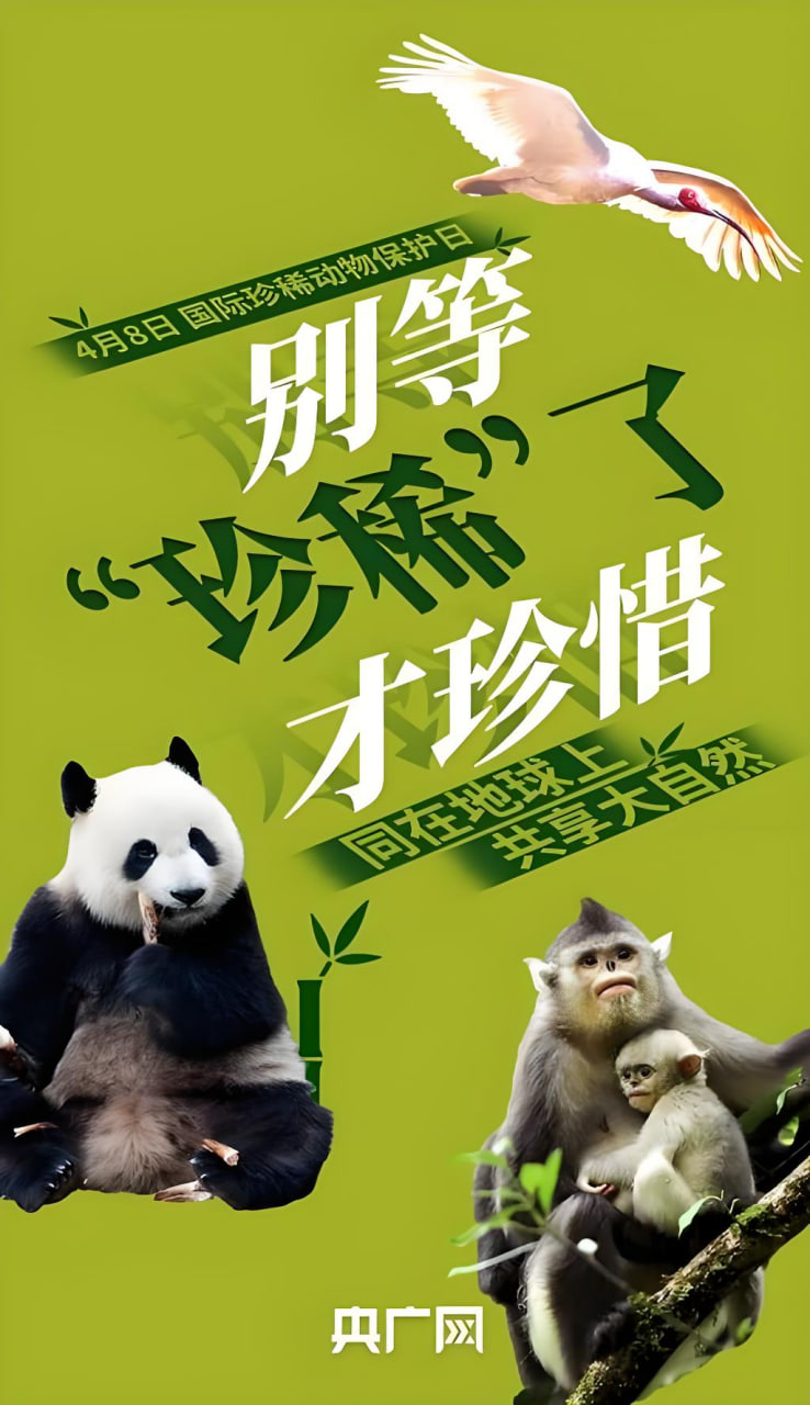 早报91禁蘑菇网站丨男人一摸就奶头就硬了丨每日实时更新